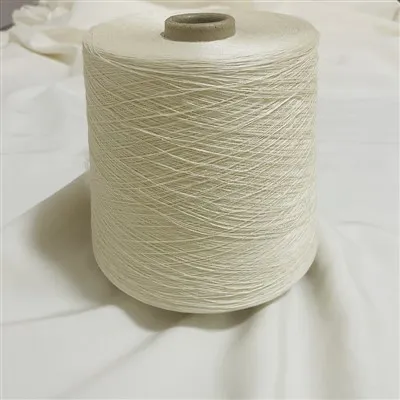 Edafedd Sidan Schappe